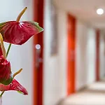 Hotel Comfort Sur Marne 3*